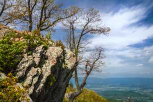 The Shenandoah Valley-8878.jpg The Shenandoah Valley-8878.jpg